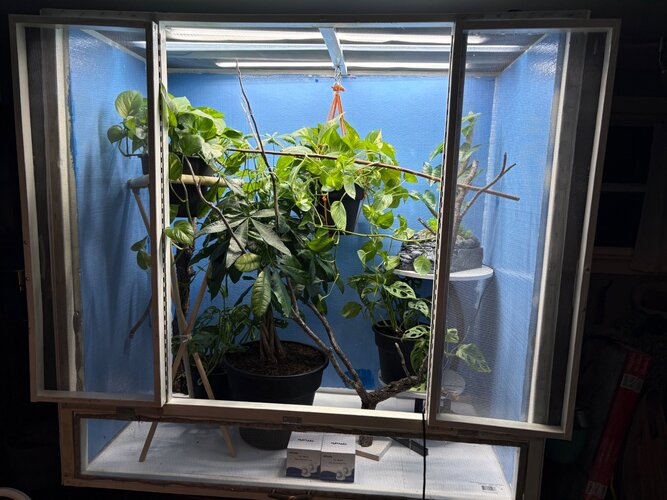IMG_3567.jpeg