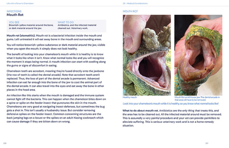 Sample Spread 7 800x518.jpg