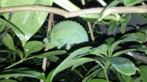 2012-01-24_23-07-43_616.jpg