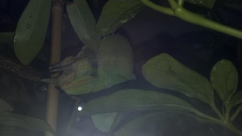 2012-01-24_23-08-10_675.jpg