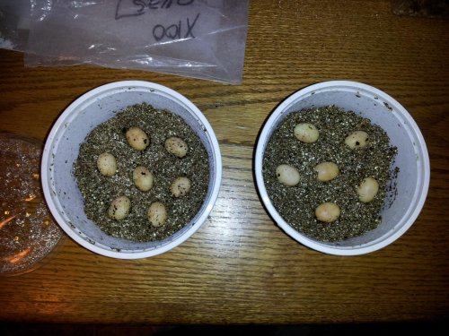 2012-01-26 20.23.57.jpg