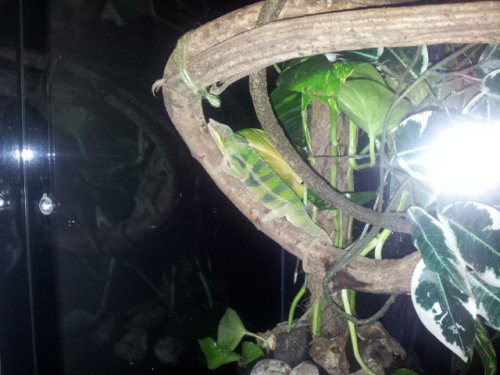 2012-01-26 22.31.52.jpg