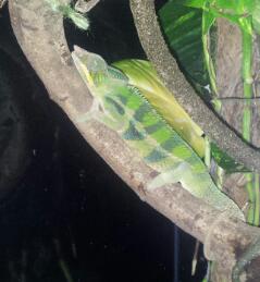 2012-01-26 22.31.52-1.jpg