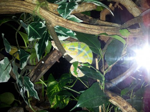 2012-01-28 20.58.37.jpg