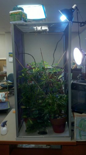 2012-01-28_14-42-59_362.jpg 2012-01-28_14-42-59_362.jpg