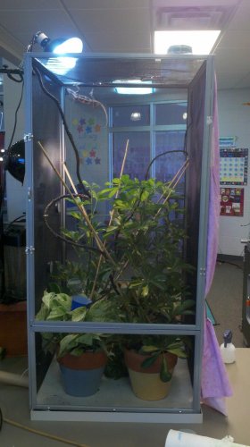 2012-01-28_14-43-31_464.jpg 2012-01-28_14-43-31_464.jpg