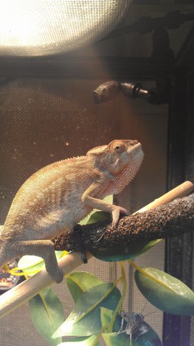 IMAG0551.jpg