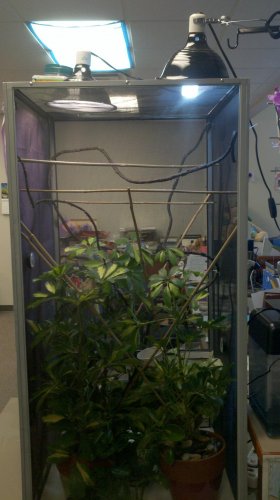 2012-01-29_12-40-39_625.jpg