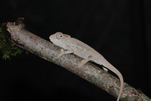 DSC_0879.JPG