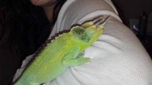 2012-01-28_16-50-09_659.jpg