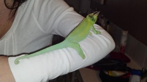 2012-01-28_16-50-41_56.jpg