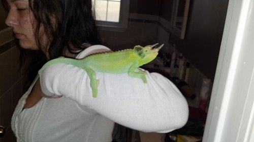 2012-01-28_16-51-02_665.jpg