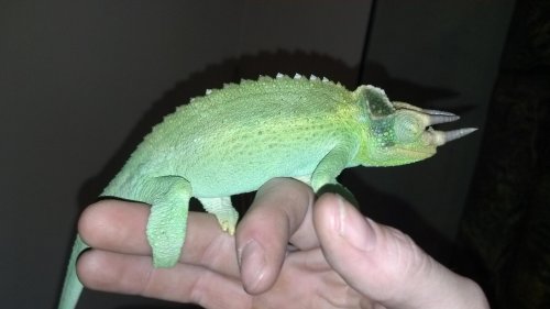 2012-01-28_16-52-15_647.jpg