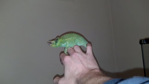 2012-01-28_16-53-31_599.jpg