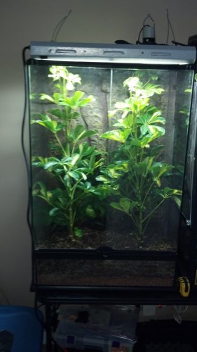 2012-01-29_17-19-18_24.jpg