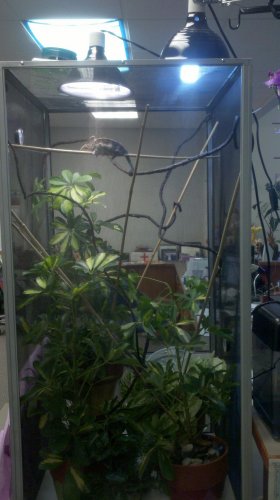2012-02-01_15-59-45_836.jpg