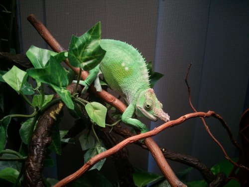 2012-01-21 16.15.17.jpg