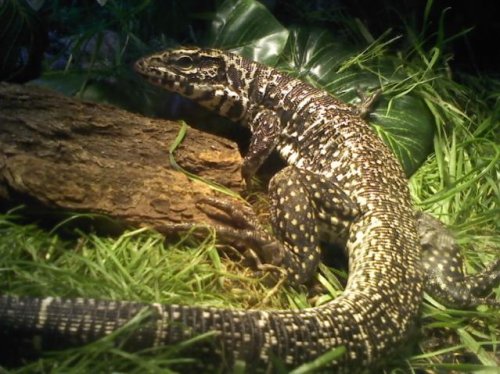 securedownload (2).jpg