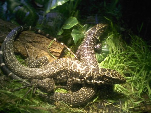 securedownload (4).jpg