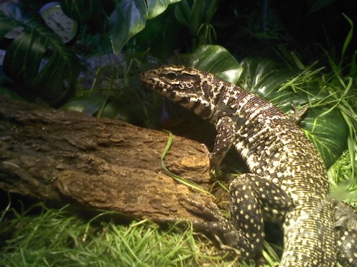 securedownload (3).jpg