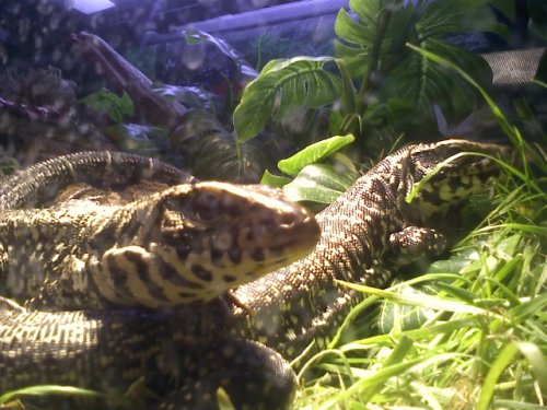 securedownload (5).jpg