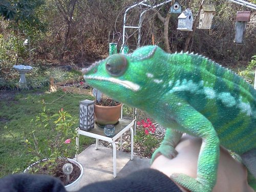 IMG_20120201_115451 (1).jpg