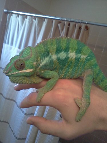 IMG_20120201_120225 (1).jpg