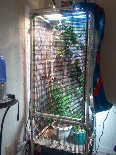 2012-02-05 14.37.22.jpg