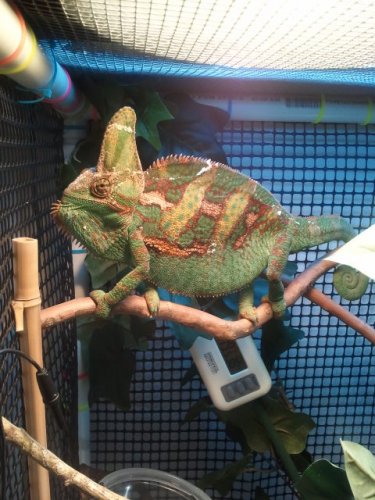 2012-02-05 14.38.20.jpg