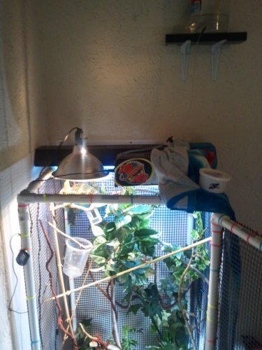 2012-02-05 14.40.52.jpg