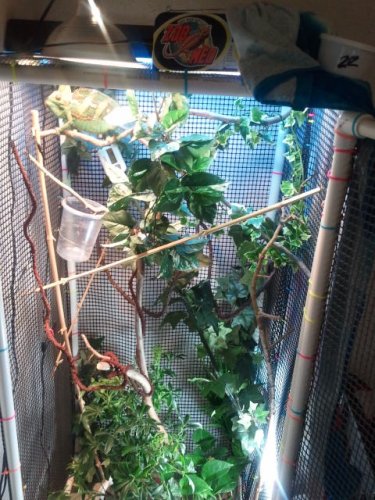 2012-02-05 14.39.20.jpg