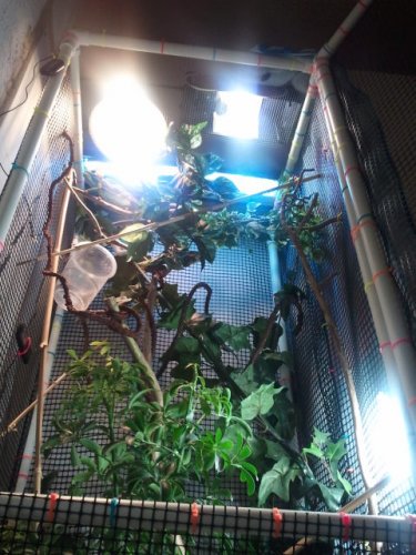 2012-02-05 14.40.26.jpg