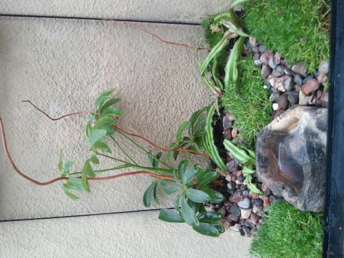 2012-02-06 15.43.35.jpg