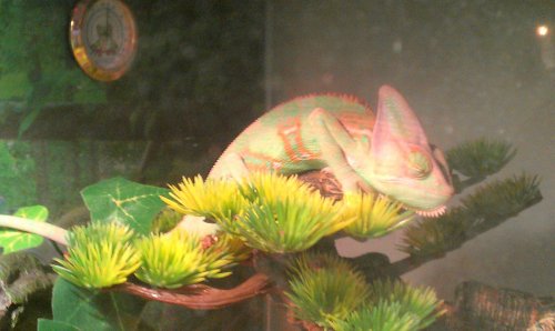 IMAG0580-1.jpg