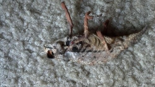 2012-02-08_11-28-20_472.jpg