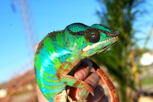 DSC_6149.jpg