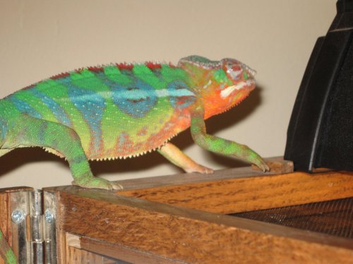 Burt 3-9-08 006.jpg
