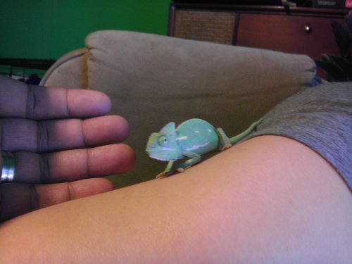 IMAG0159.jpg