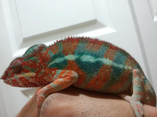 2012-02-07 20.32.44.jpg