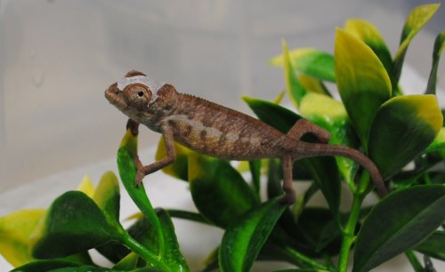DSC_1119.JPG