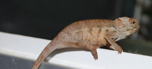 DSC_1125.JPG
