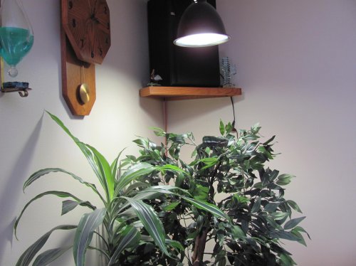 Ernie chillin free range style 002.jpg