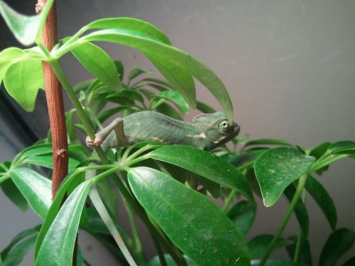 2012-02-11_19.52.22.jpg