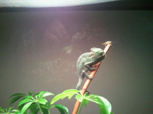 2012-02-12_13.20.17.jpg