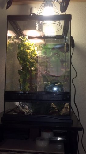 2012-02-12_17-42-15_651.jpg