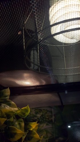 2012-02-12_17-42-48_577.jpg