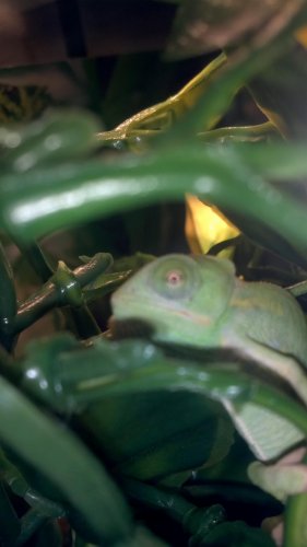 2012-02-12_17-43-18_538.jpg