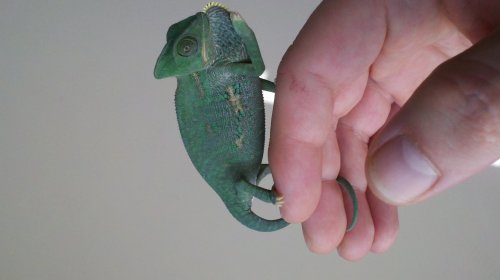 2012-02-12_13-31-56_42.jpg