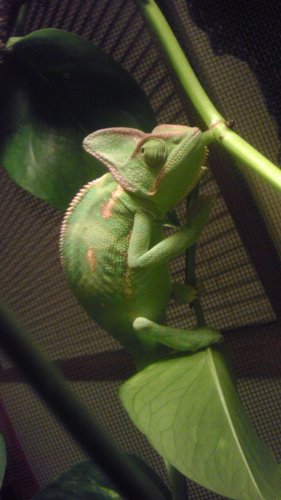 IMAG0056.jpg IMAG0056.jpg