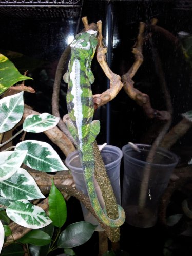 2012-02-10 19.03.24.jpg